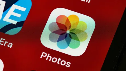 Instagram'da Silinen Fotoğraflar Nasıl Bulunur? Instagram'da Silinen Fotoğraflar Nasıl Bulunur?
