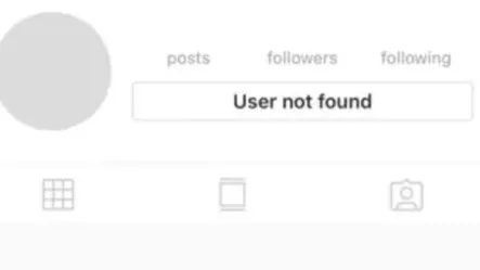 User Not Found User Not Found
