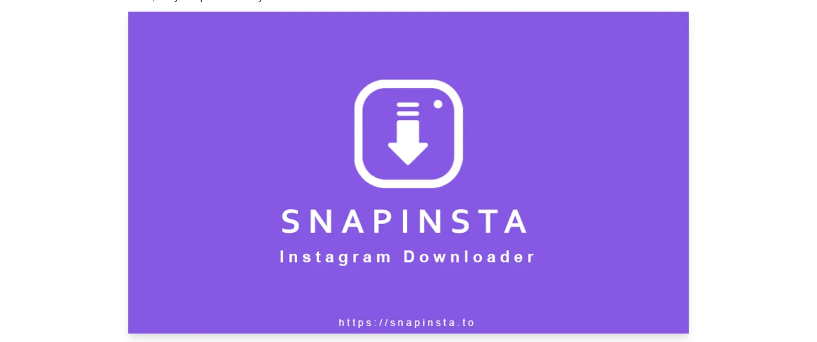 SnapInsta Private Downloader Review SnapInsta Private Downloader Review